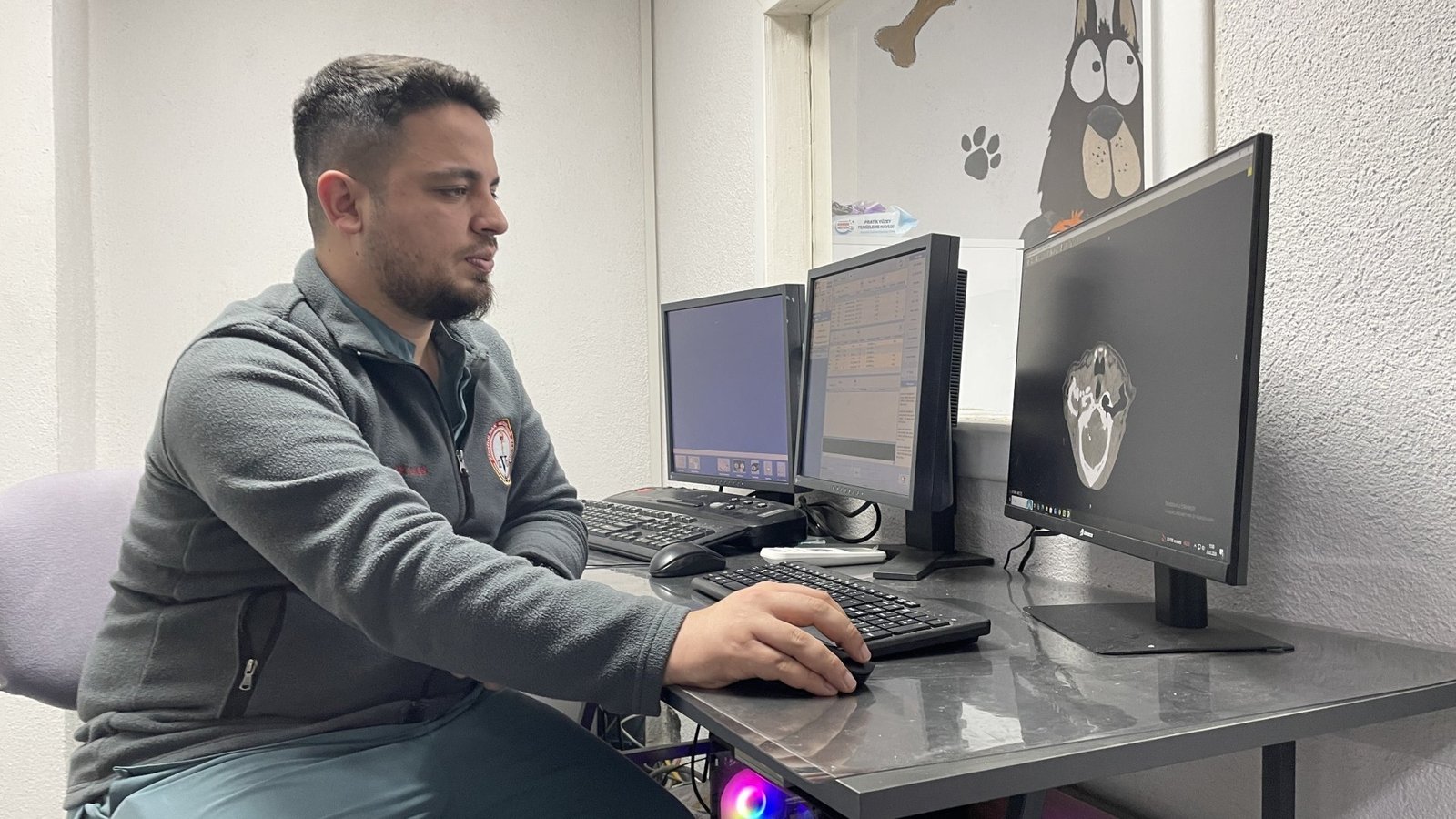 Sokak köpeğinin mucize kurtuluşu; beynine kadar yayılan tümör yenilikçi tedaviyle temizlendi